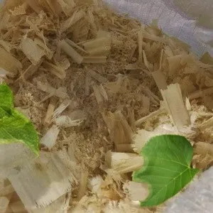 Лиственные опилки оптом в Домодедово от завода-производителя Лигнум Ресурс