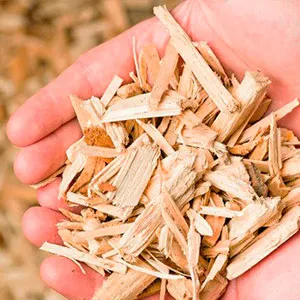 Сосновая щепа оптом в Домодедово от завода-производителя Лигнум Ресурс