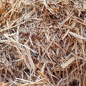 Щепа для арболита оптом в Домодедово и других различных марок заказать от 16 тонн