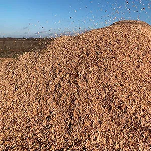 Щепа топливная оптом в Домодедово от завода-производителя Лигнум Ресурс